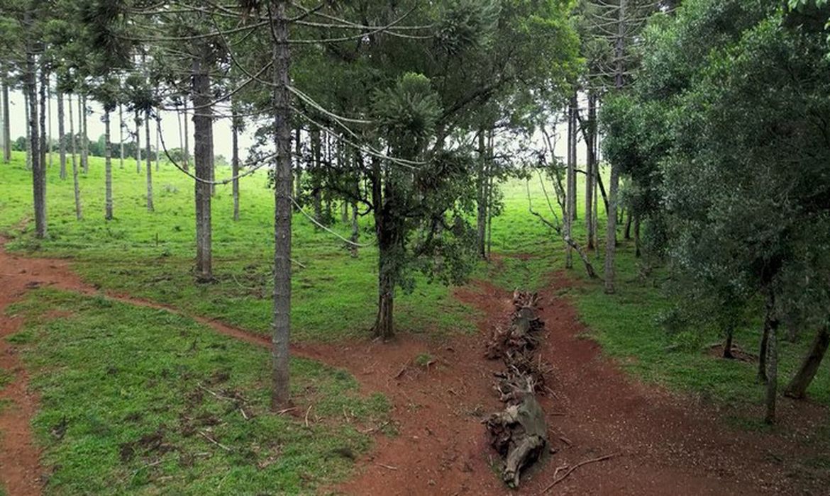 Produção inédita resgata histórico Caminho do Peabiru na TV Brasil