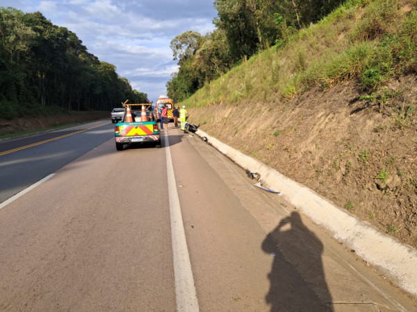 Divulga&ccedil;&atilde;o