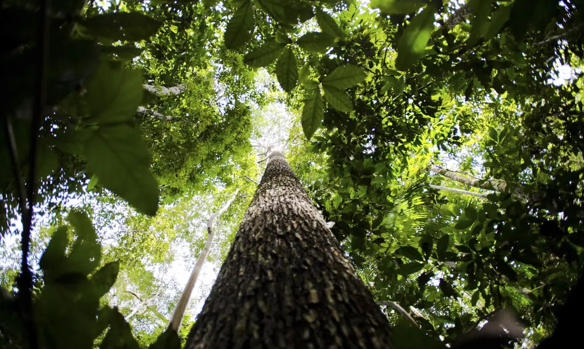 Governo avalia editar decreto sobre licenciamento ambiental