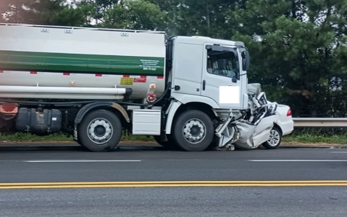 Reprodu&ccedil;&atilde;o