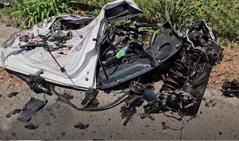 Reprodu&ccedil;&atilde;o