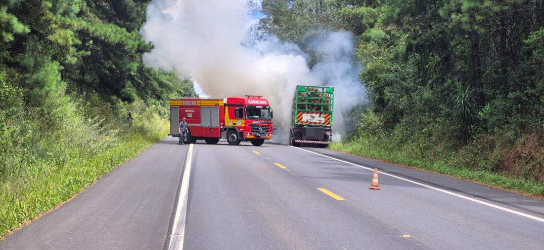 Divulga&ccedil;&atilde;o