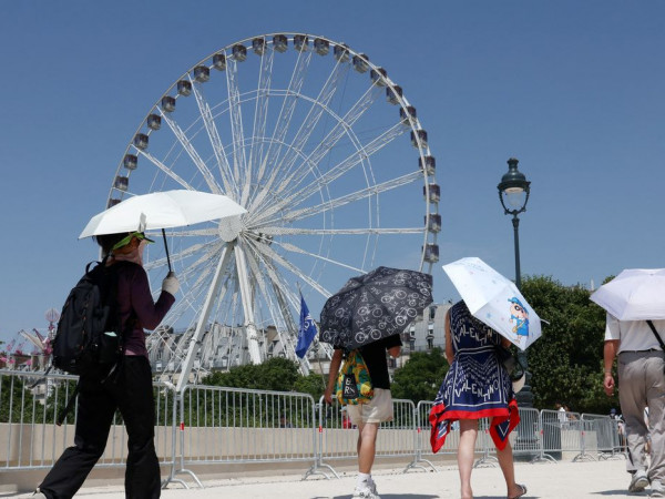 Europa: temperatura alta pode elevar transmiss&atilde;o do v&iacute;rus Chikungunya