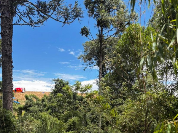 Divulga&ccedil;&atilde;o