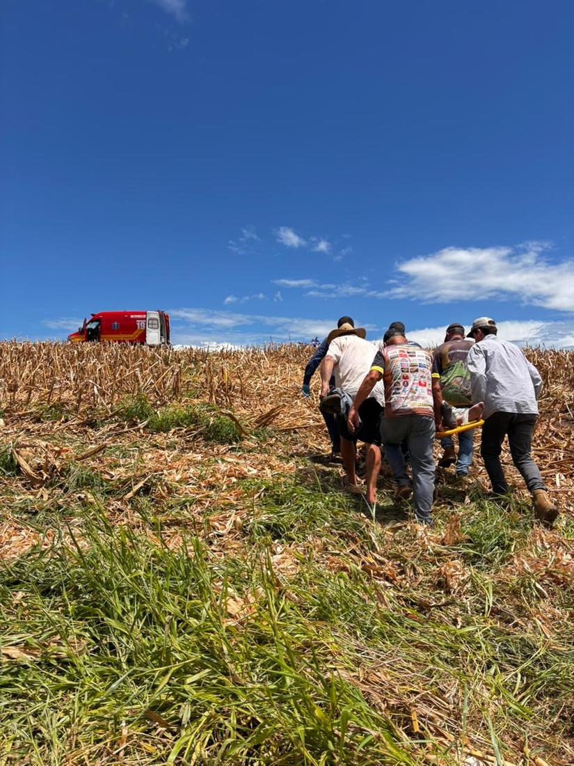 Divulga&ccedil;&atilde;o