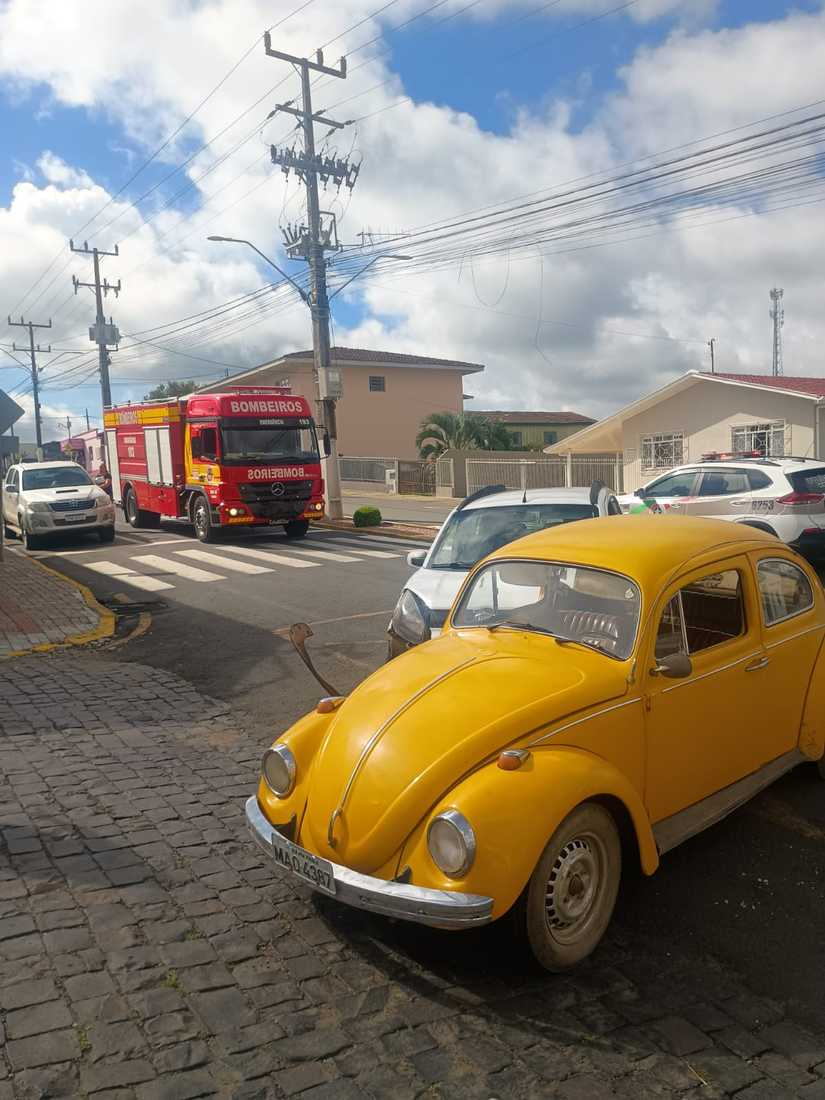 Divulga&ccedil;&atilde;o