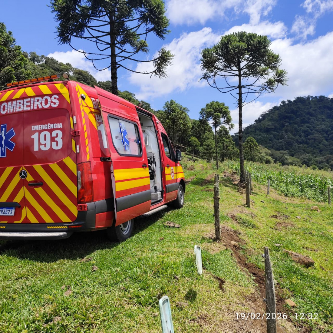 Divulga&ccedil;&atilde;o