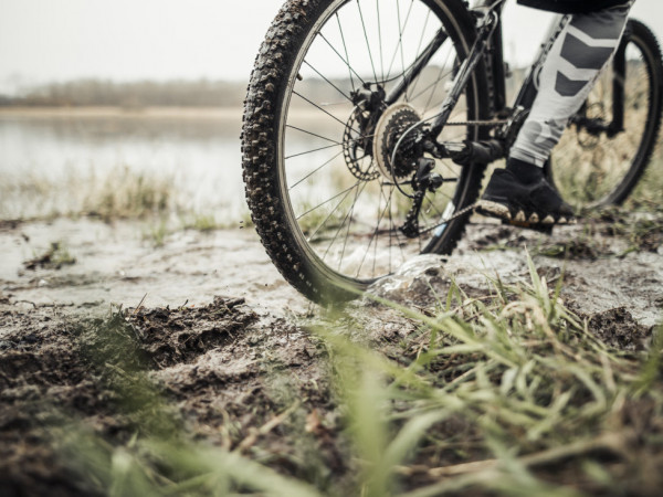 Ilustra&ccedil;&atilde;o