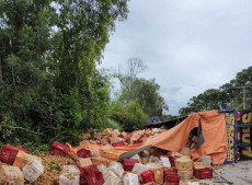 Divulga&ccedil;&atilde;o