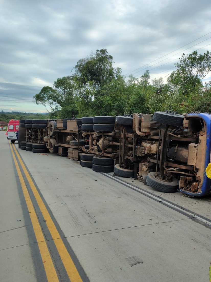 Divulga&ccedil;&atilde;o