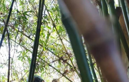 Divulga&ccedil;&atilde;o