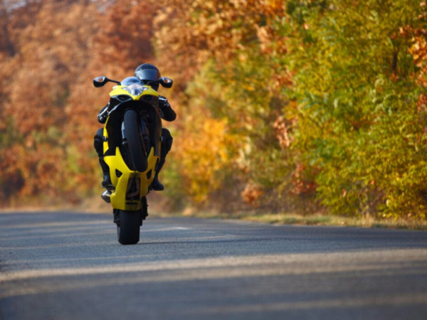 Ilustra&ccedil;&atilde;o