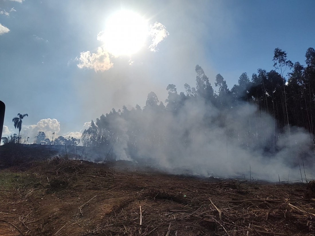 Área queimada equivale a dezenas de campos de futebol e exigiu uso de 8.500 litros de água