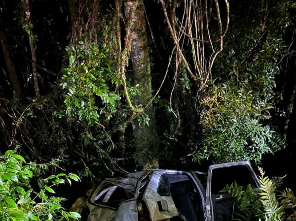 Passageiro relatou que motorista perdeu o controle do ve&iacute;culo em uma curva na rodovia