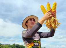 Junto com a m&atilde;e, Elisiane Soster faz a gest&atilde;o de uma propriedade rural com 70 hectares de lavoura e 45 vacas em lacta&ccedil;&atilde;