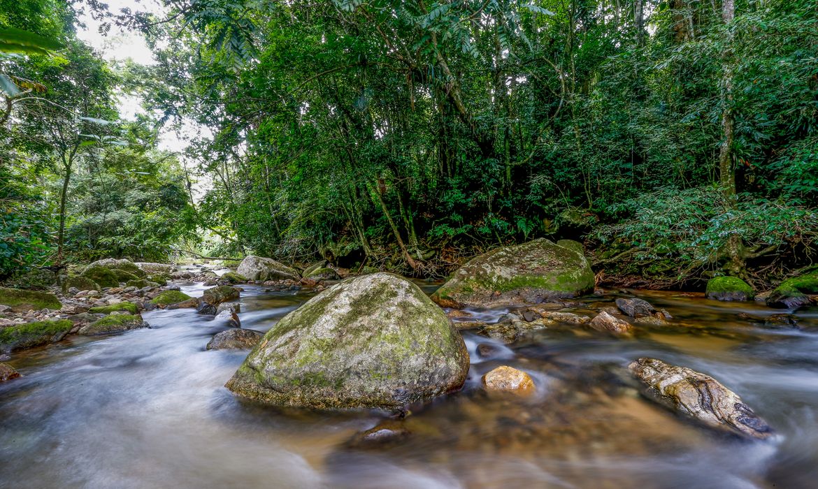 Plano busca fortalecer Sistema Nacional do Meio Ambiente até 2036