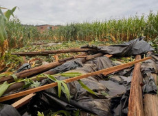 Canoinhas Lan&ccedil;a "Recupera Agro": M&atilde;o Estendida a Agricultores Ap&oacute;s Desastres
