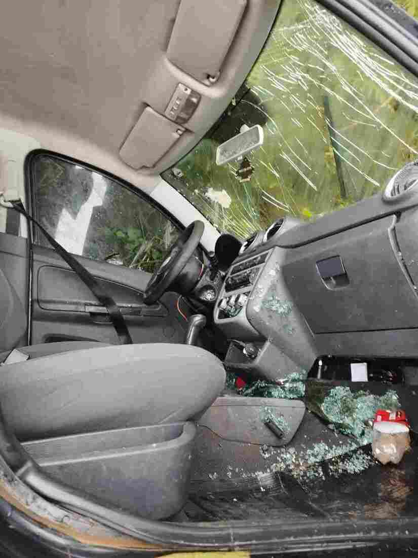 Divulga&ccedil;&atilde;o