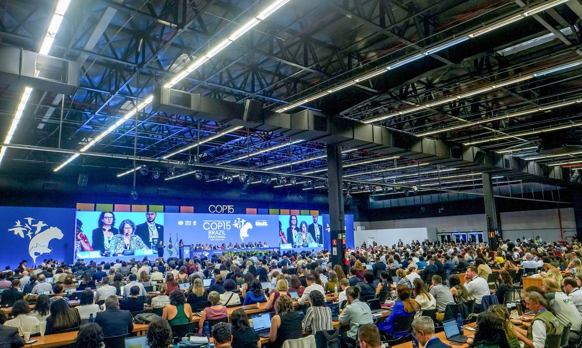 Diversidade marca cerimônia de abertura da COP15 em Campo Grande