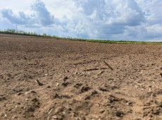 Agricultura Familiar, Desenvolvimento Rural, Meio Ambiente, Economia Local