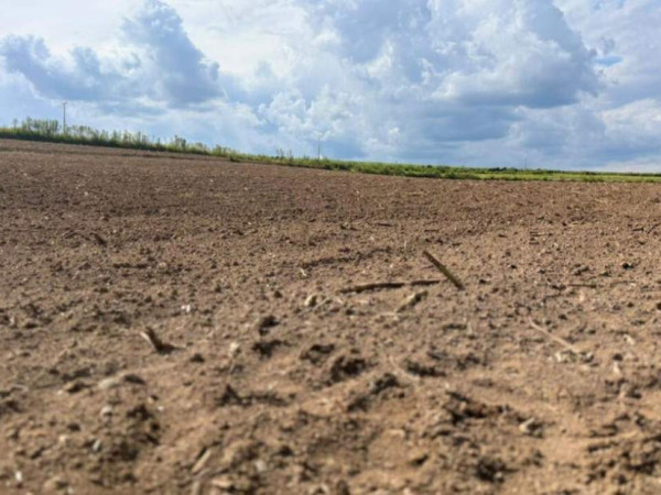 Agricultura Familiar, Desenvolvimento Rural, Meio Ambiente, Economia Local