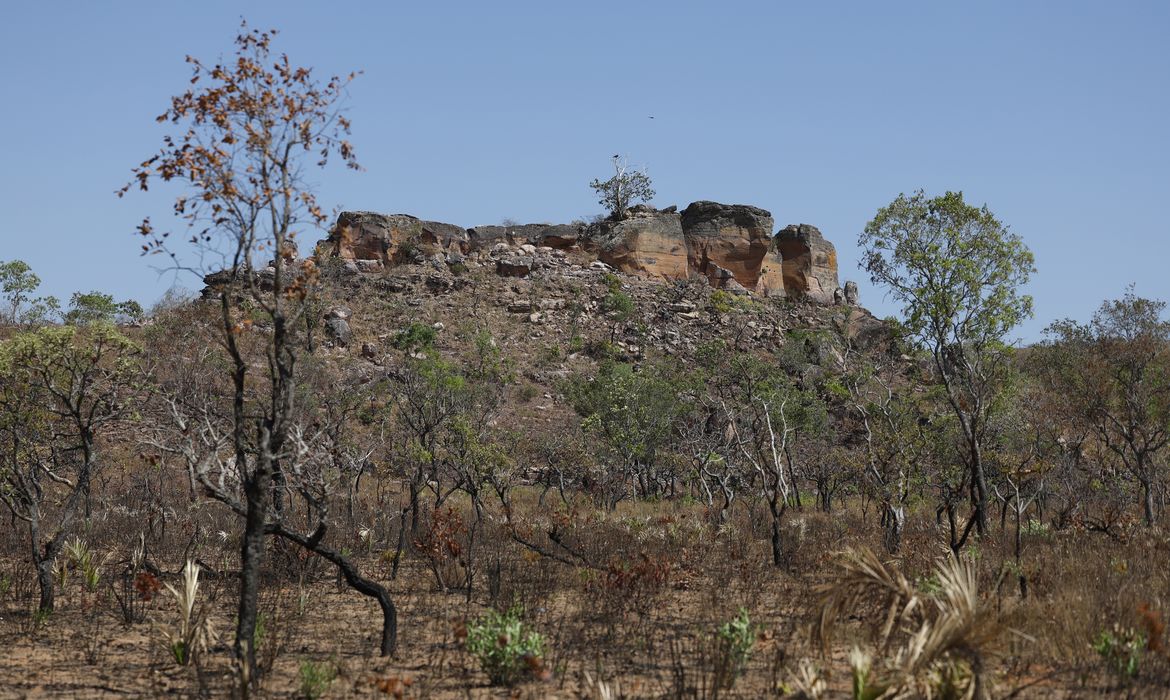 Pesquisa com IA identifica terras agrícolas abandonadas no Cerrado 
