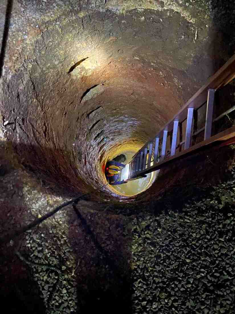 Animal chamado Mel foi salvo sem ferimentos pelos bombeiros