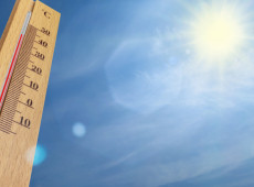 Ilustra&ccedil;&atilde;o