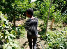 Horta comunit&aacute;ria re&uacute;ne mem&oacute;ria, cuidado e cidadania em favela do Rio