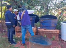 Chikungunya: entenda doen&ccedil;a que preocupa Mato Grosso do Sul