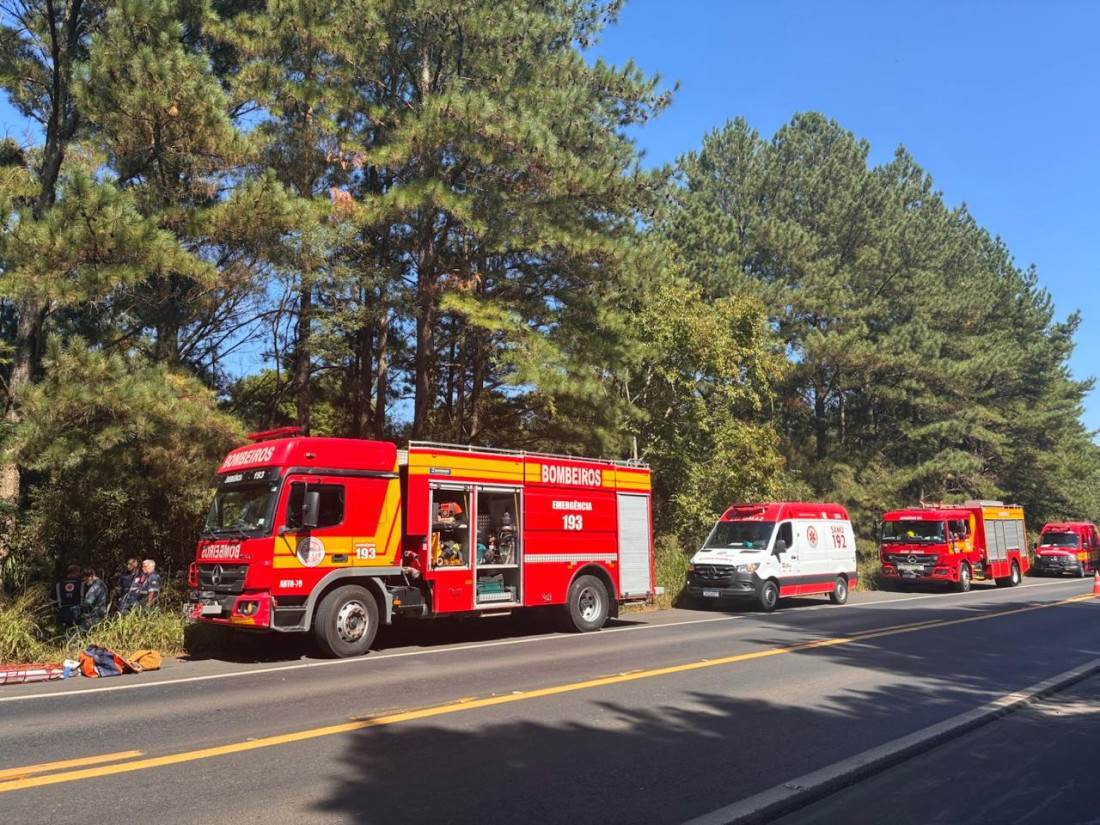 Divulga&ccedil;&atilde;o