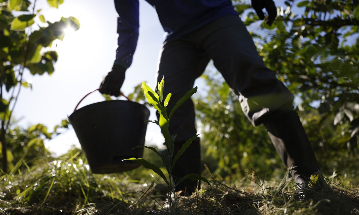 Governo apresenta plano para desenvolver bioeconomia no país