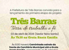 Programa&ccedil;&atilde;o