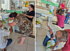 Projeto Meio Ambiente