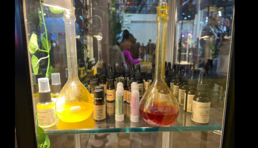 Beleza e saúde movimentam mais de R$ 2,7 bilhões por mês em Santa Catarina