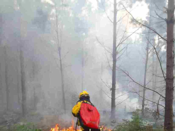 Divulga&ccedil;&atilde;o