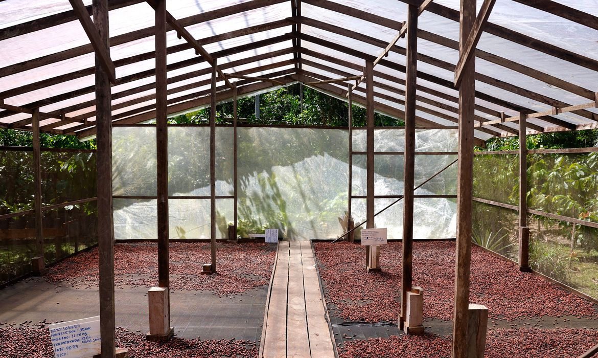 Edital seleciona projetos de inovação no Amazonas, Pará e Rondônia