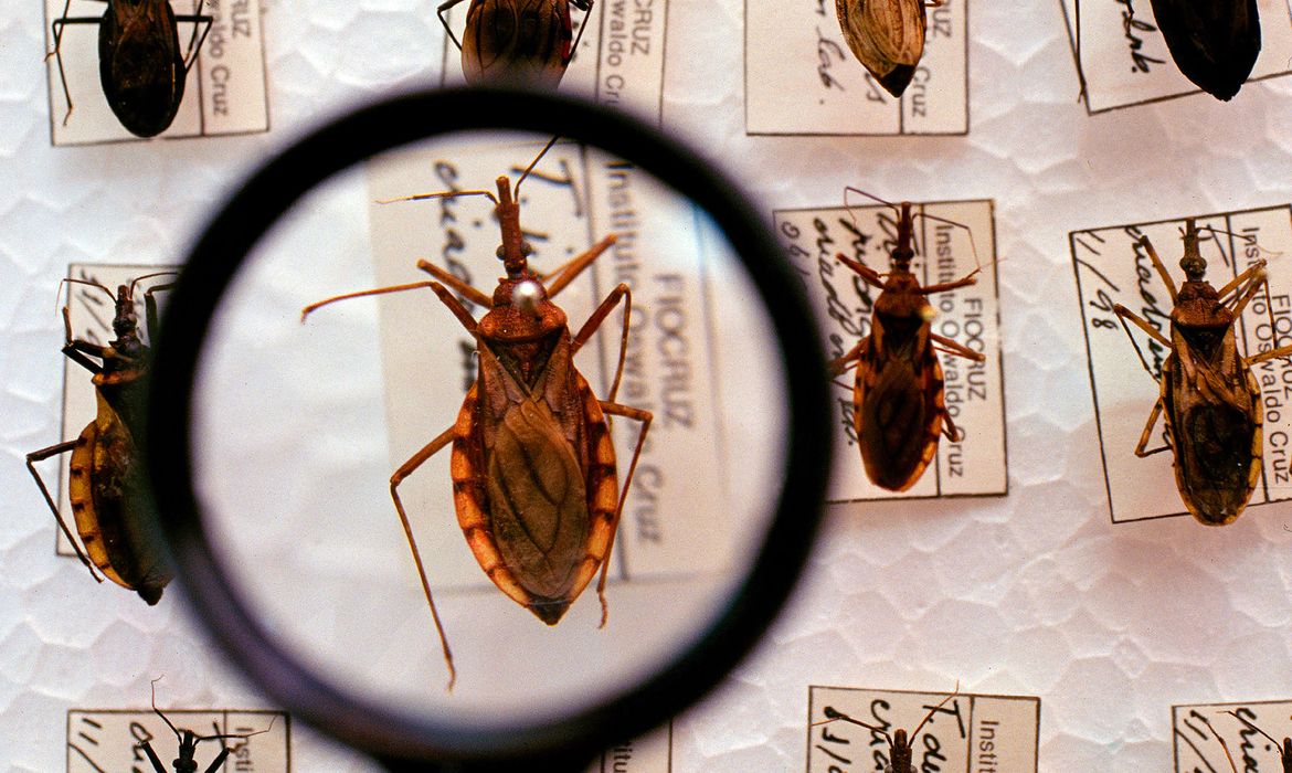  Saúde anuncia R$ 12 milhões para enfrentamento da doença de Chagas