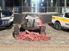 Divulga&ccedil;&atilde;o