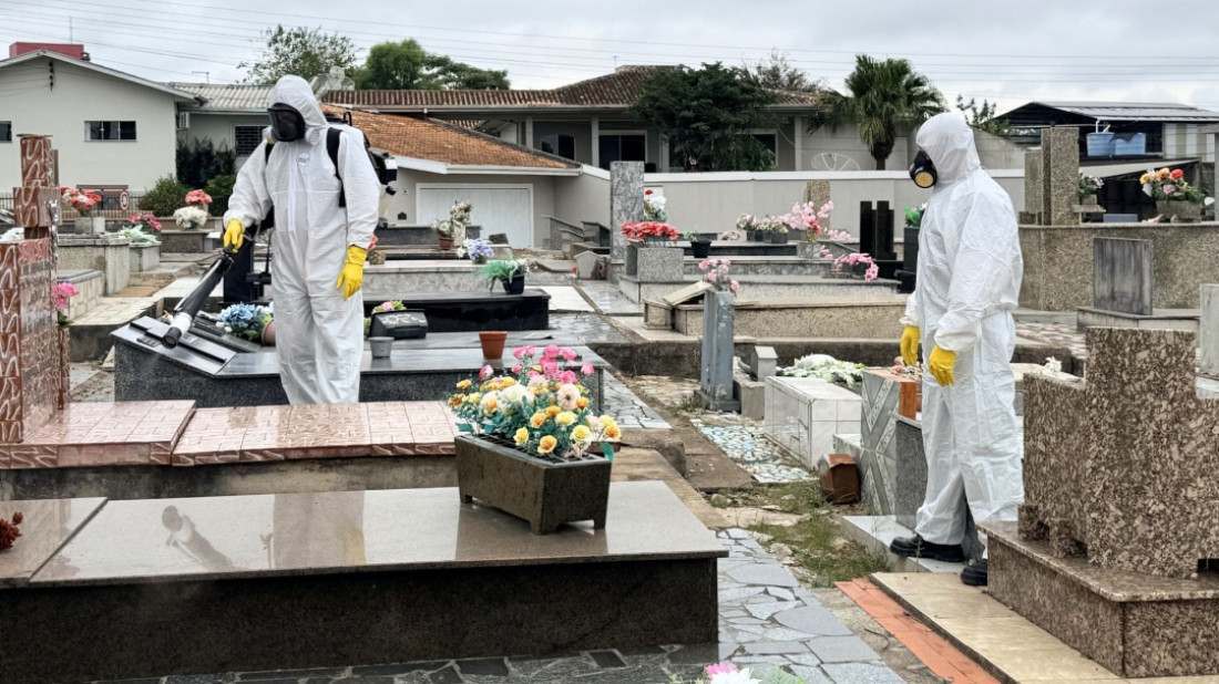 Cuidados com o mosquito da Dengue em Canoinhas.