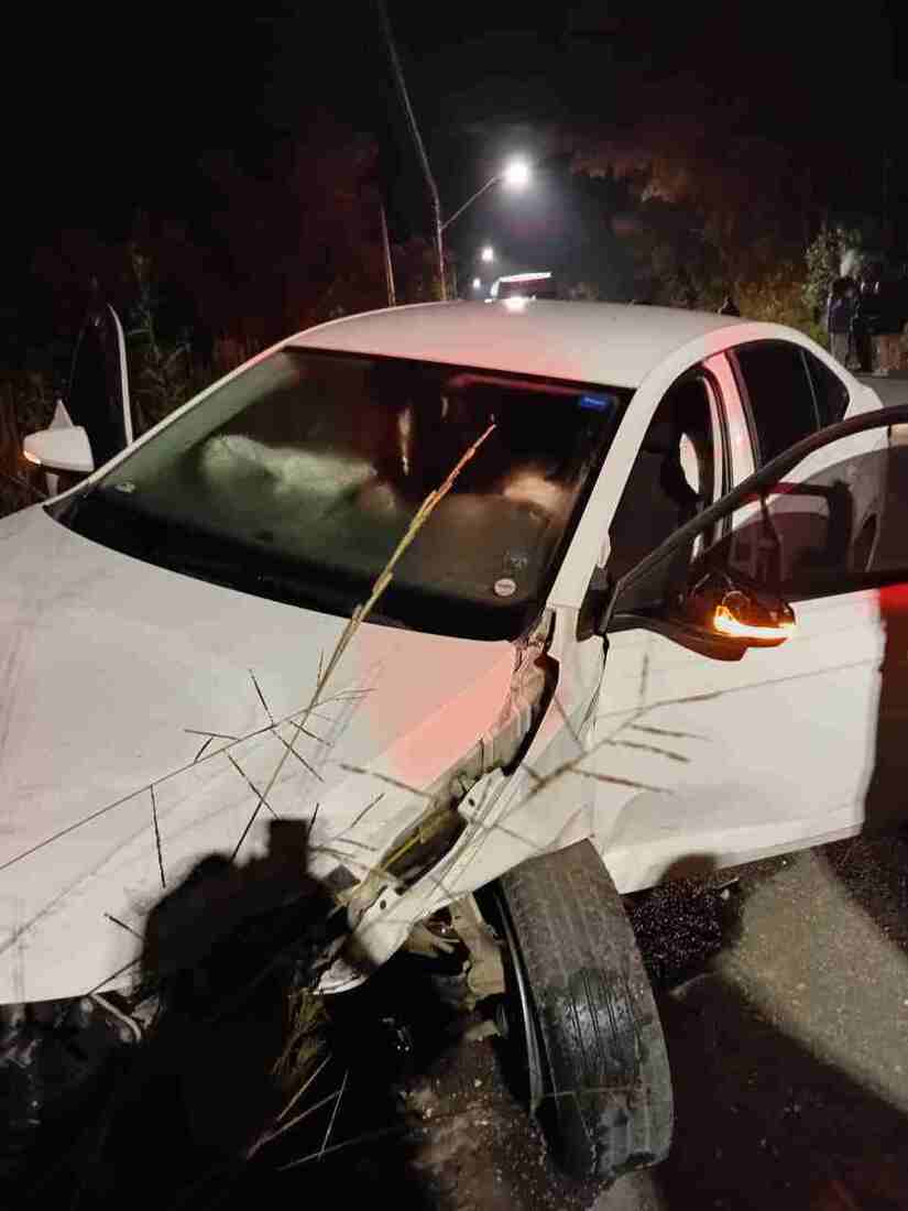 Divulga&ccedil;&atilde;o