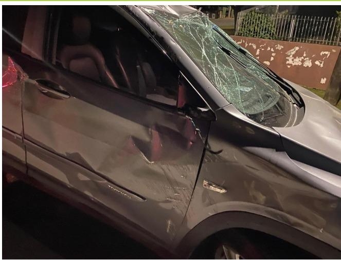 Divulga&ccedil;&atilde;o