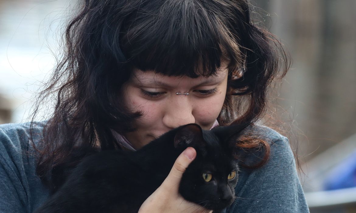 Programa da Prefeitura de SP faz castração gratuita de cães e gatos