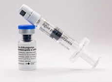 Butantan vai produzir vacina nacional contra chikungunya 