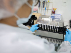 Fiocruz obt&eacute;m patente para tratamento contra mal&aacute;ria resistente