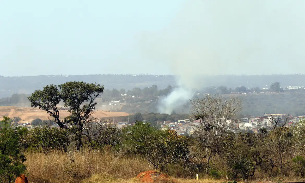 MMA lança edital para arborizar periferia urbana de pequenas cidades 
