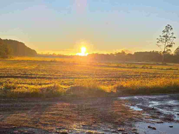 Temperaturas seguem baixas no Planalto Norte, com aumento da nebulosidade nos pr&oacute;ximos dias