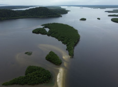 Carbono azul ganha espa&ccedil;o na agenda clim&aacute;tica dos oceanos