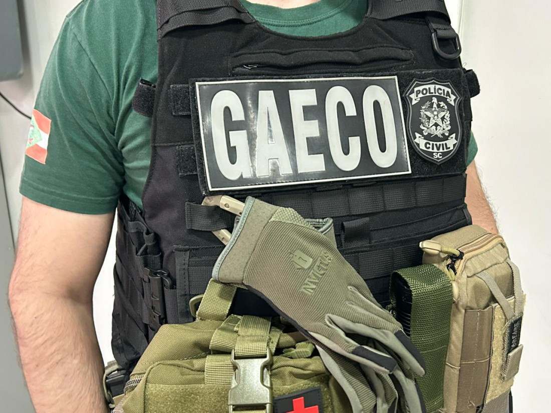 Divulgação
