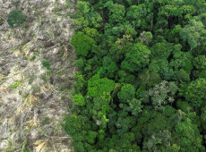 Crise clim&aacute;tica &eacute; o pior desafio da hist&oacute;ria humana, diz cientista